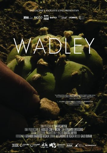 Wadley poster